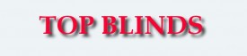 Blinds Burwood East - V Blinds